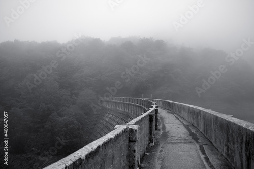 Φωτογραφία Greyscale shot of a bridge leading to a foggy forest