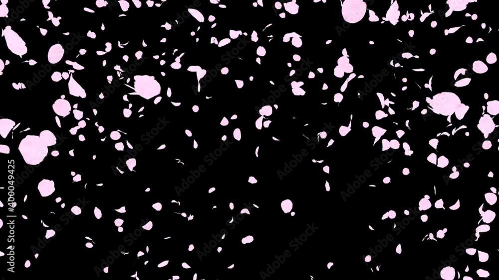 桜 花びら 舞い散る マスクあり [ループ対応] [別Verあり] Stock