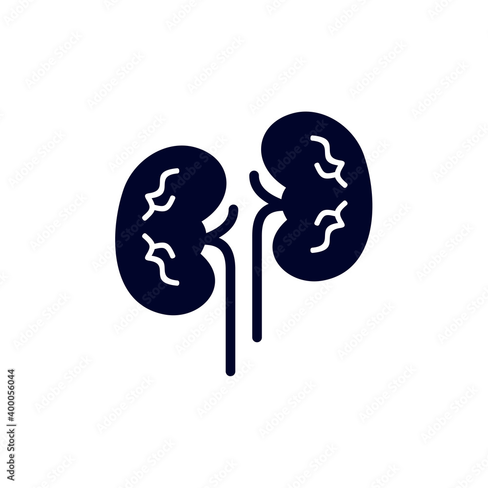 Kidney logo design vector template, Organs logo design concept, Icon symbol Kidney logo design vector template, Organs logo design concept, Icon symbol