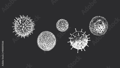 Viruses types, set of vector images. Coronavirus.