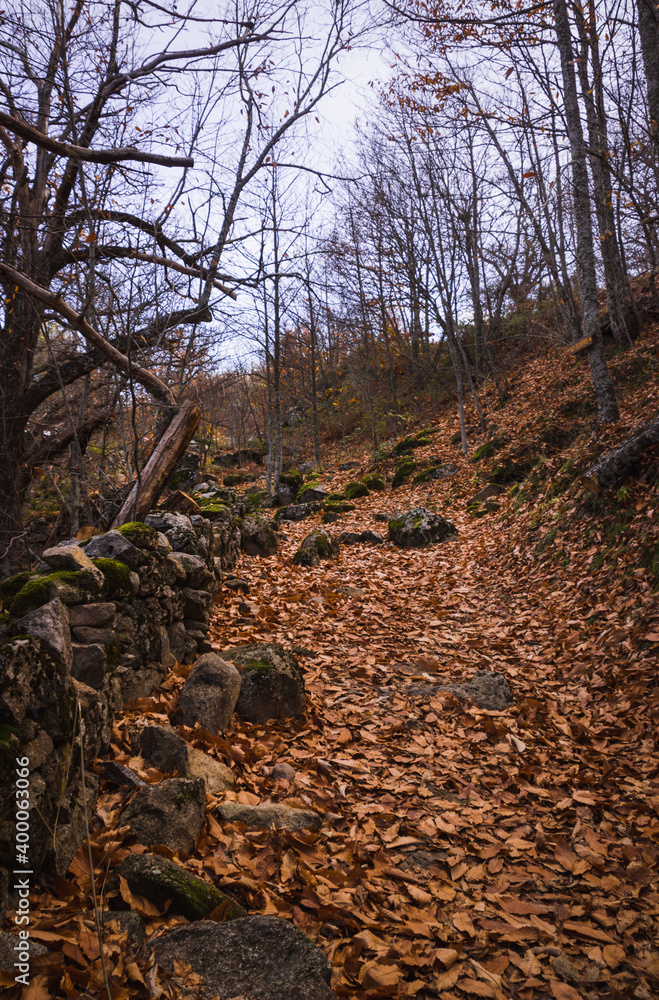 Otoño Otoño