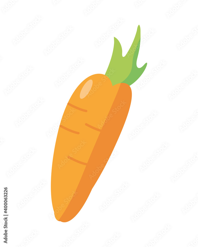 carrot fresh vegetable nature icon