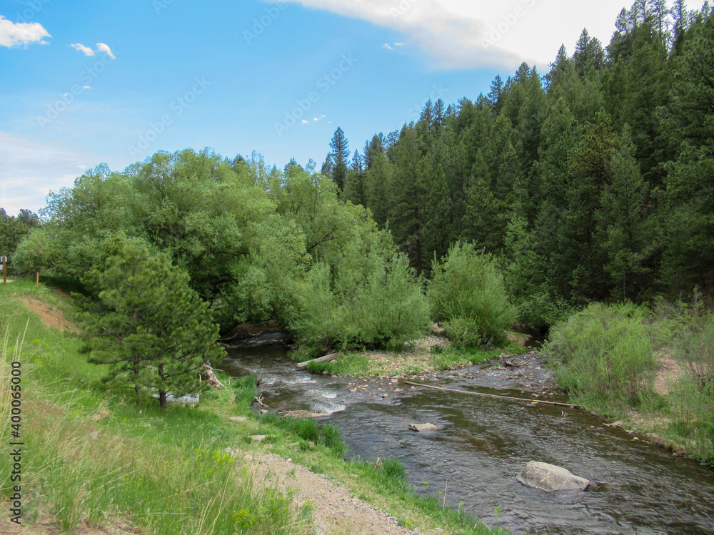 Obraz premium river in the mountains