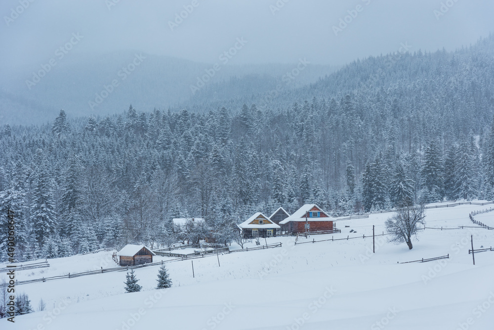 Winter in the Ukrainian Carpathians with beautiful frozen trees and snow