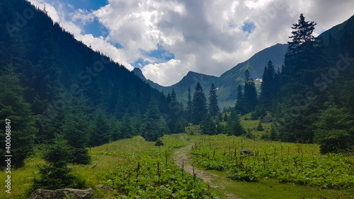 landscape with mountains