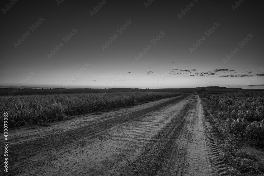 Fototapeta premium Black and white night photography - Dirt road