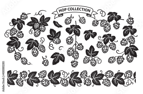 Hop branches with cones and leaves seamless border. Hand drawn vector illustration isolated on white background.