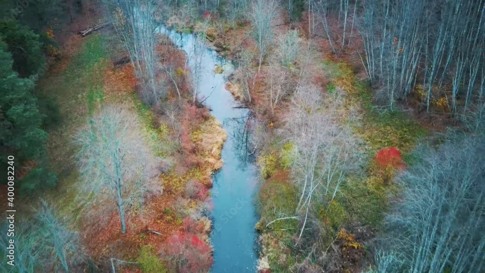 custom made wallpaper toronto digitalRiver and Colorful Forest Woodland at Autumn Trees Forest Landscape Aerial Shot, With Coniferous Wood Olden Foliage. Yellow Leaves on Tree Crowns in Fall. Misty Weather Colorful Trees, and Pine Woods