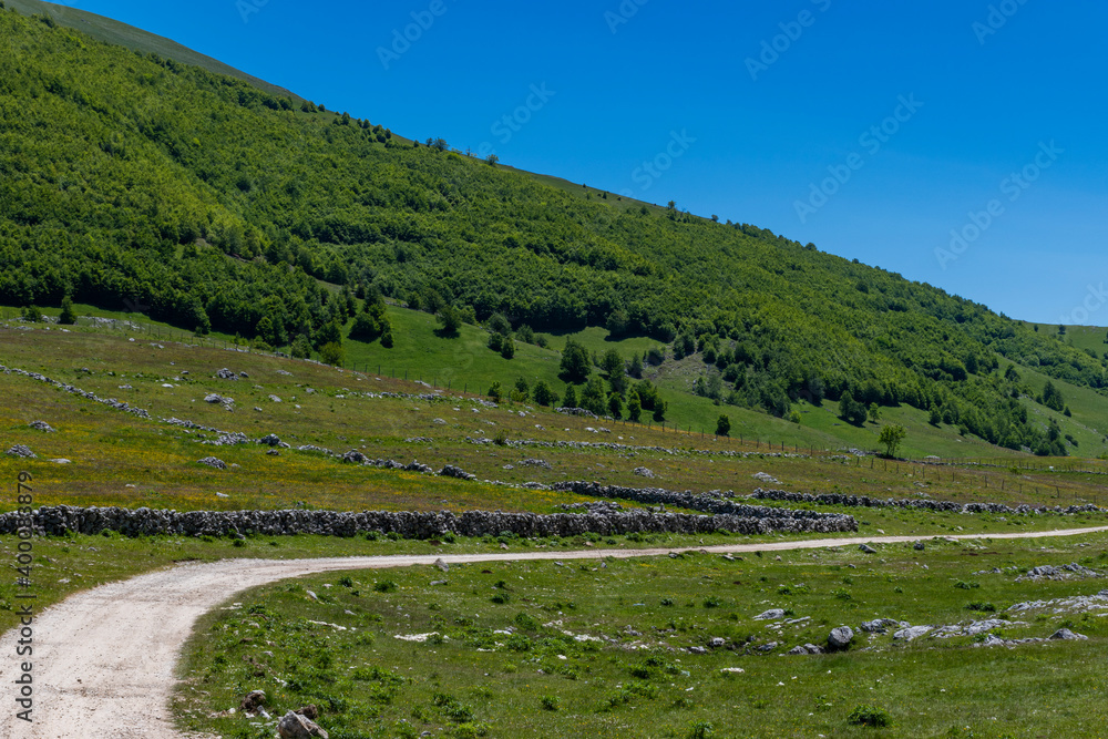 Fototapeta premium landscape with road and mountains