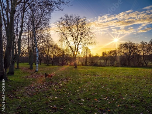 CHRISTMAS WALK IN THE PARK 