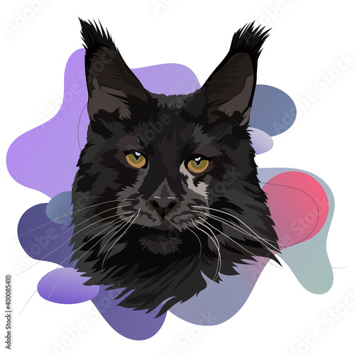 Portrait of a black cat Maine Coon breed, vector head illustration