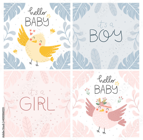 Baby shower invitation cards with little cute birds and flowers. Floral background pink and blue colors. Hello baby, It’s a boy , it’s a girl lettering. Set of Birthday cards templates. 