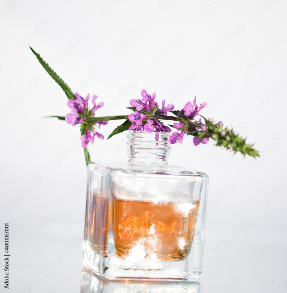 lavender and oil lavender and oil