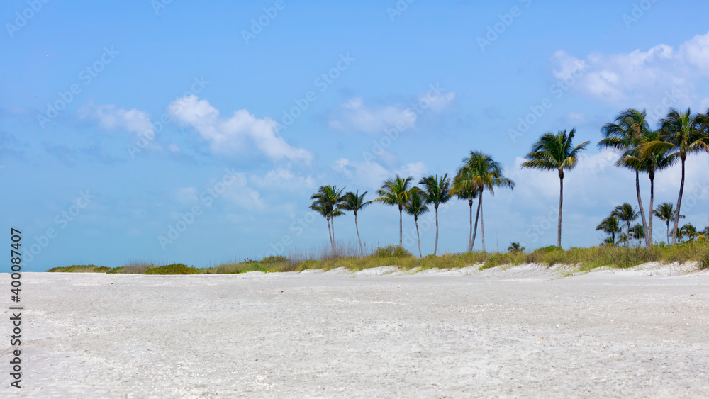 Beach, blue sky and a row of plams