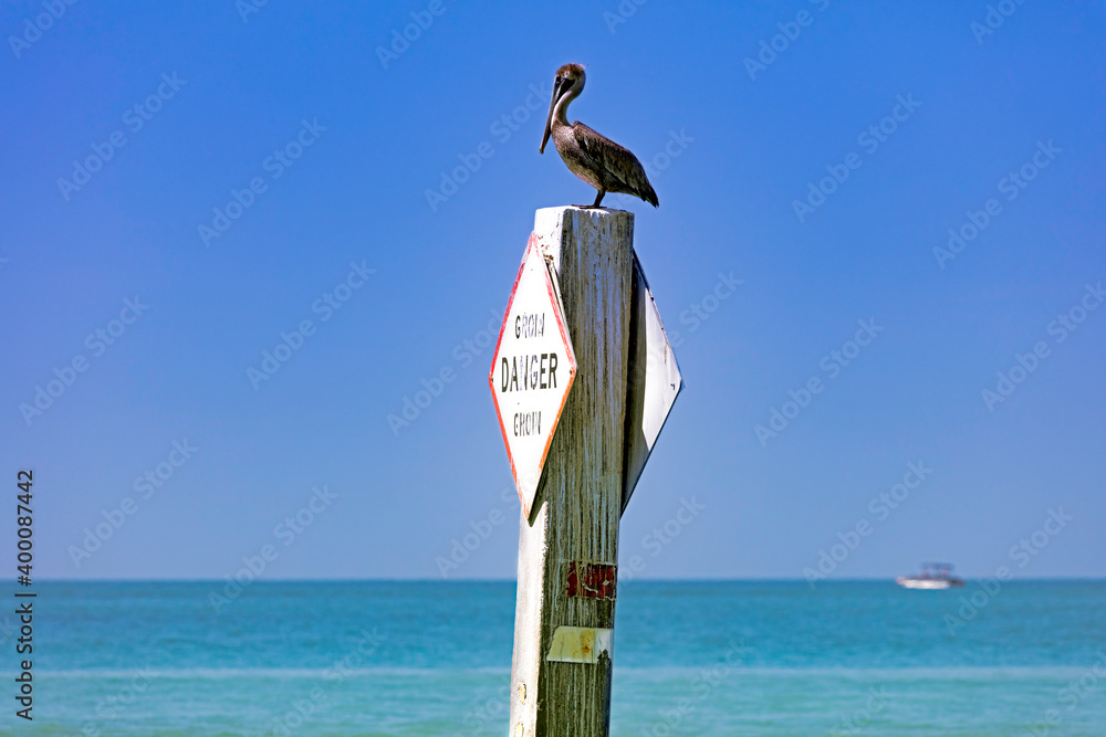 Pelican sitting on pole in background water and blue sky