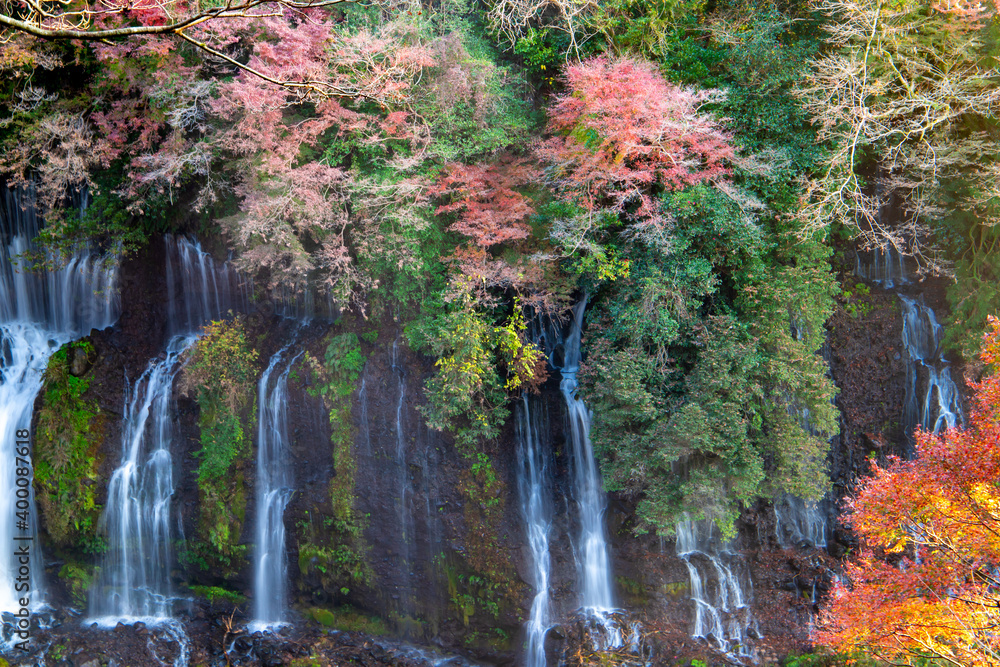 静岡　白糸ノ滝と紅葉