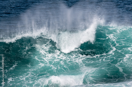 Fototapeta Naklejka Na Ścianę i Meble -  A big angry looking wave with teal green water and thick white froth.  The strong wild gale wind is spreading an aqua spray of the rip curl surf of the sea wave and foam. The dangerous sea is powerful