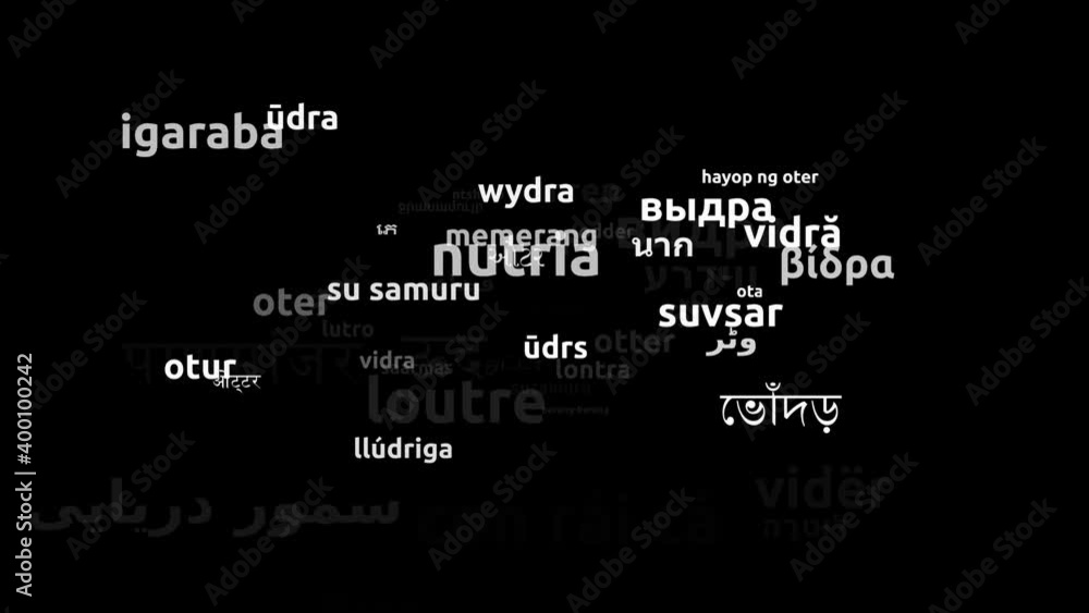 Otter Translated in 55 Worldwide Languages Endless Looping 3d Zooming Wordcloud Mask Otter Translated in 55 Worldwide Languages Endless Looping 3d Zooming Wordcloud Mask