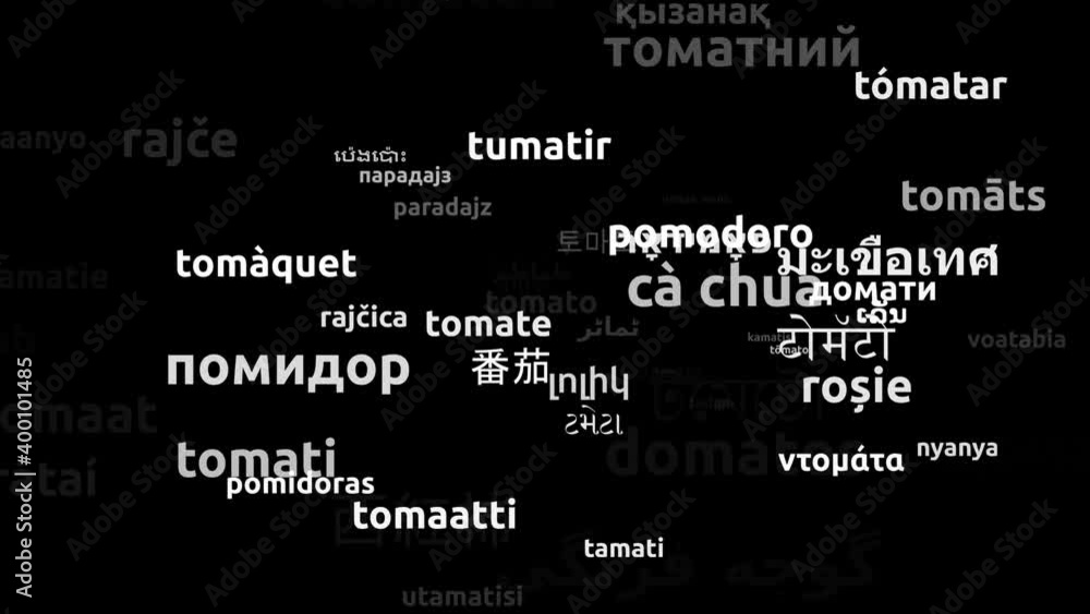 Tomato Translated in 62 Worldwide Languages Endless Looping 3d Zooming Wordcloud Mask Tomato Translated in 62 Worldwide Languages Endless Looping 3d Zooming Wordcloud Mask