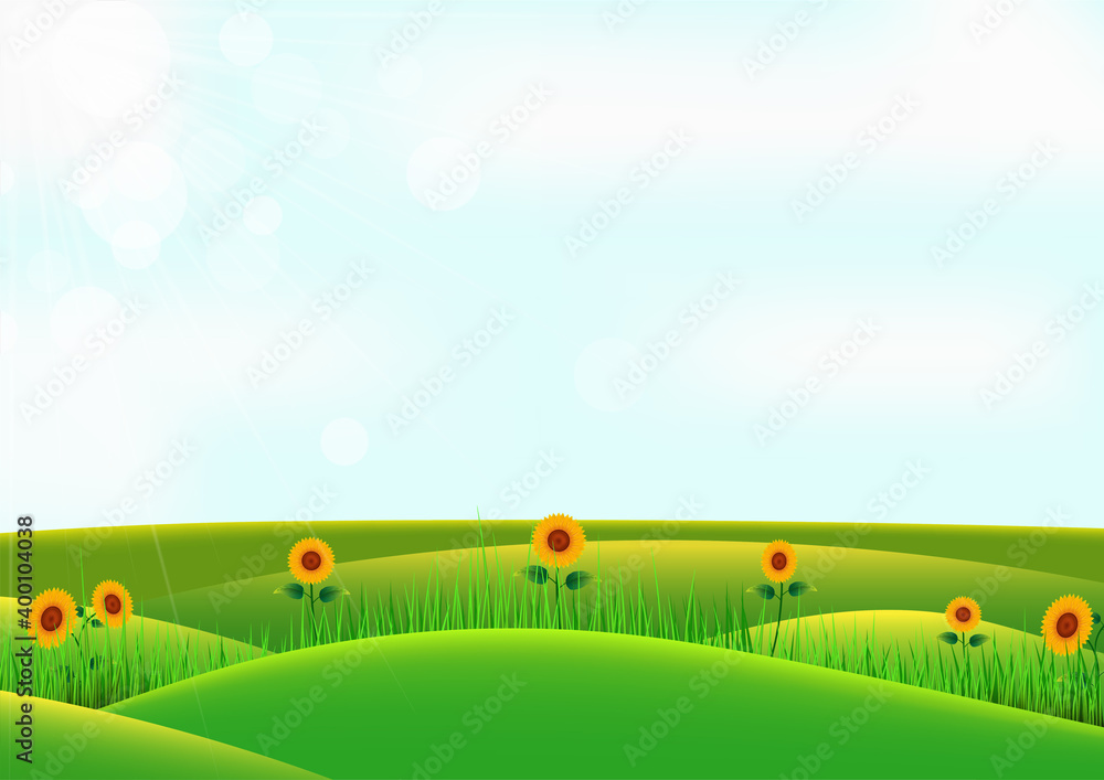 Sunflower and grass on hill with sky background.