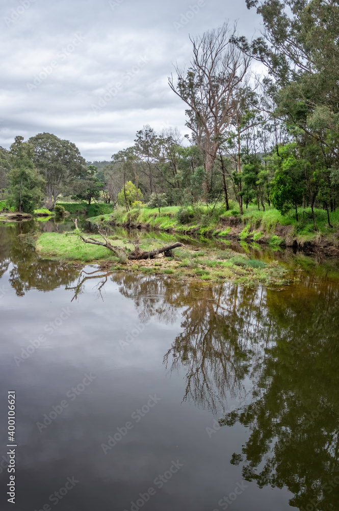 Wapengo Creek vert