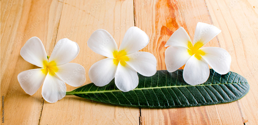 Leelawadee an isolated on wood background Leelawadee an isolated on wood background