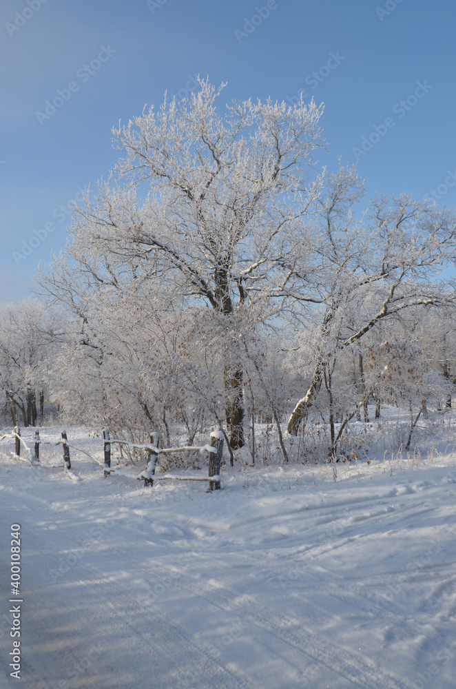 winters are beautiful moments winters are beautiful moments