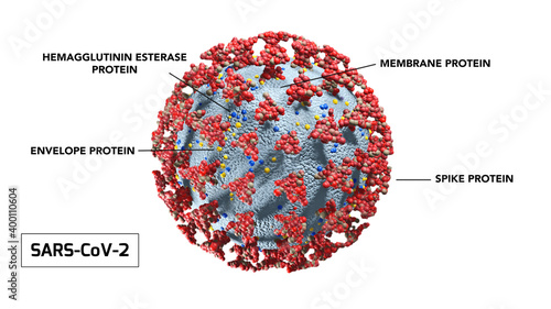 Illustration of the Corona Virus with description of the Proteins 