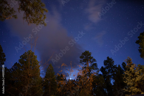 Stars and clouds above a pine forest during Autumn