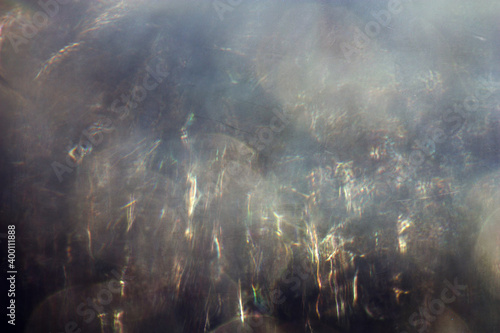 Wallpaper Mural fog in the forest Torontodigital.ca