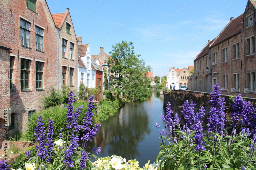 Flower and canal, Bruges