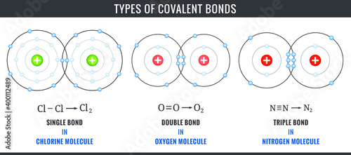 Three types of covalent bonds including single, double, and triple bonds