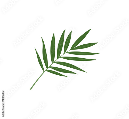 tropical green leaf flat vector icon illustration. jungle foliage © lukulo