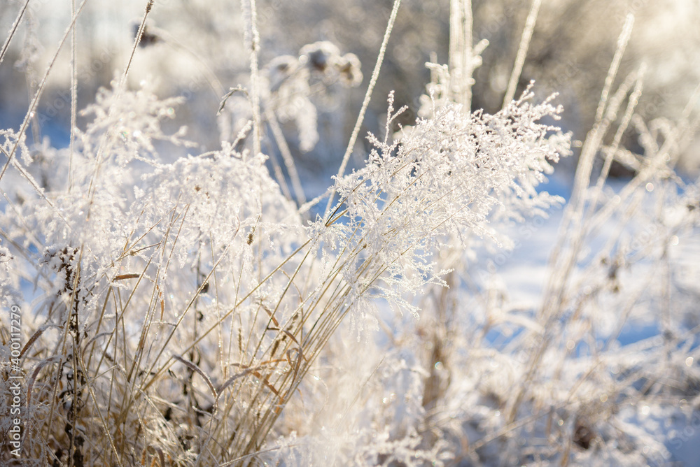 Winter landscape, trees with hoarfrost frosty sunny as a background. Winter landscape, trees with hoarfrost frosty sunny as a background.