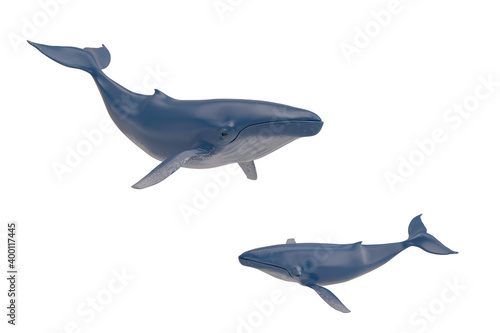 Blue whale Isolated On White Background, 3D rendering. 3D illustration.