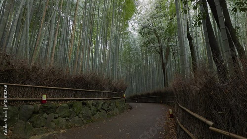 小雪の舞う京都　嵯峨野　竹林の小径