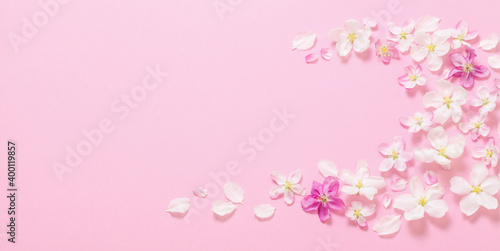 pink apple flowers on pink background