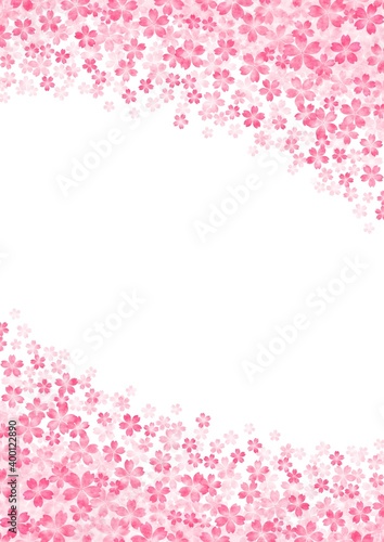 画面上下に咲き広がる桜の縦長背景イラスト no.01 © tota