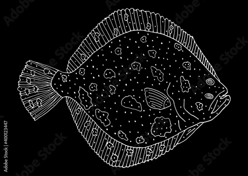 Turbot fish hand drawn. White contour of fish on black background. Design element. Vector illustration.