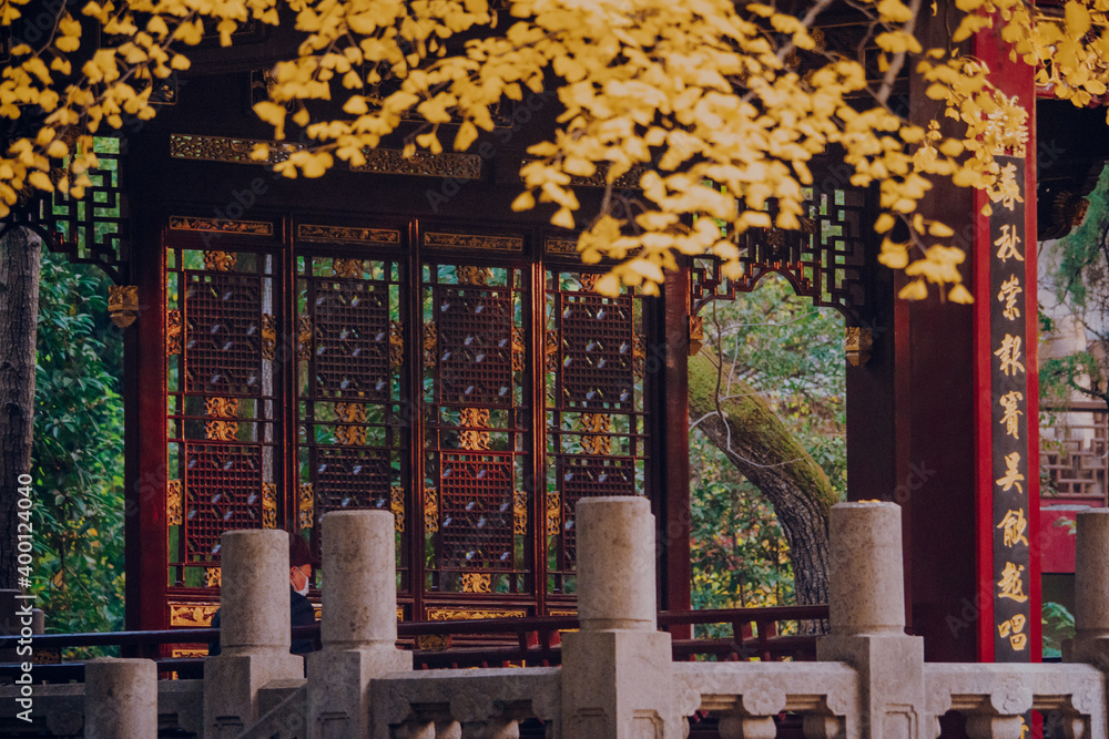 Golden gingko and Chinese classical architecture