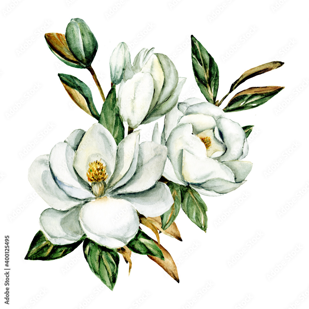 White flowers magnolia, watercolor floral clip art. Perfectly for printing  design on invitation, card, wall art and other. Isolated on white  background. Hand painting. Illustration Stock | Adobe Stock