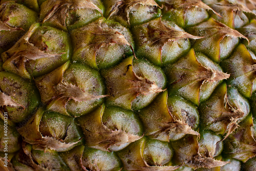 Close view of pineapple skin texture. Fruit background Close view of pineapple skin texture. Fruit background