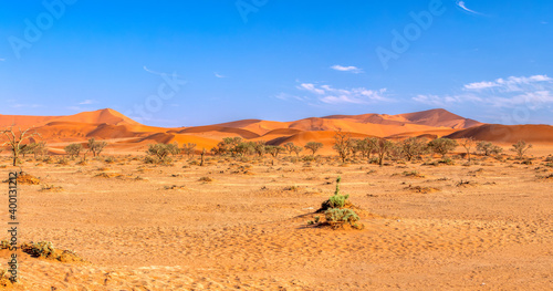 beautiful sunrise landscape of sand dunes in Sesriem Namib desert, Namibia, Africa wilderness landscape
