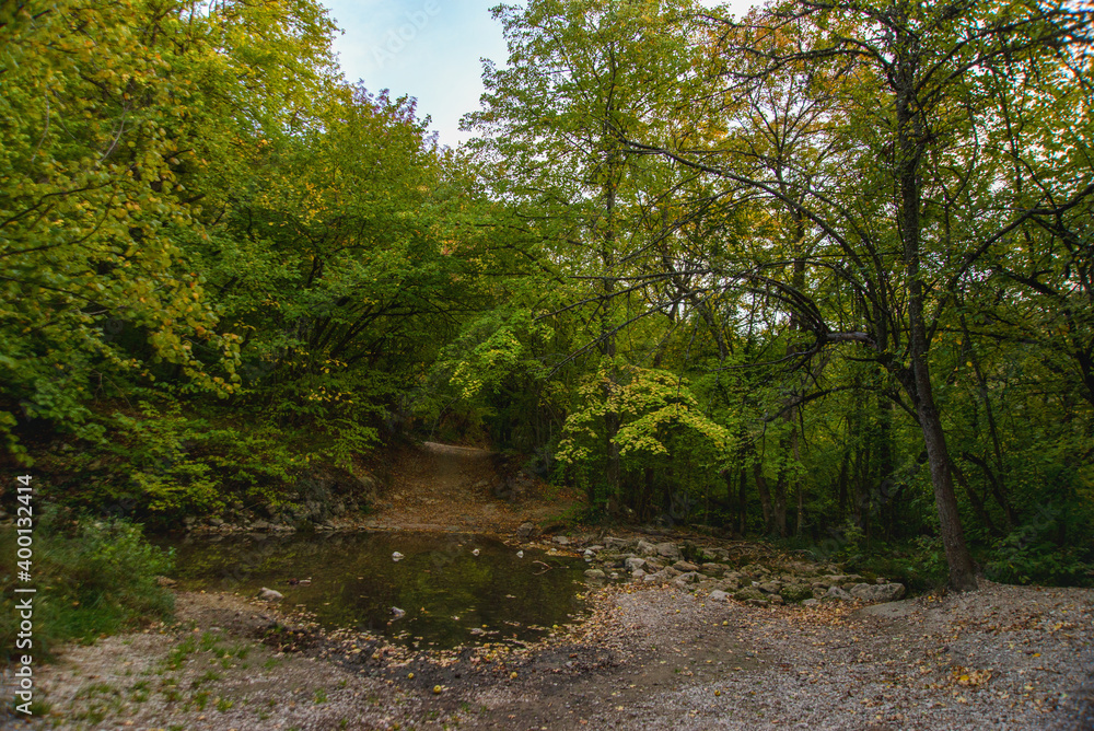 Fototapeta premium road in a mountain autumn forest