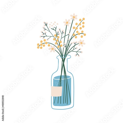Beautiful bouquet with wild plants in glass vase vector flat illustration. Cute spring bunch of mimosa, daisy and gypsophila flowers. Floristic composition for decoration isolated on white