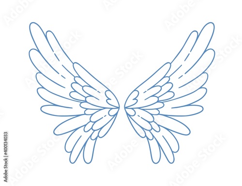 Beautiful angel or bird wings vector illustration in monochrome outline style...