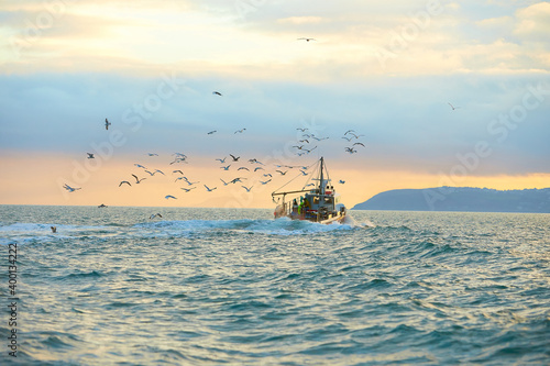 Fishing boat surrounded by black-headed gulls in coming back to the port at the sunset