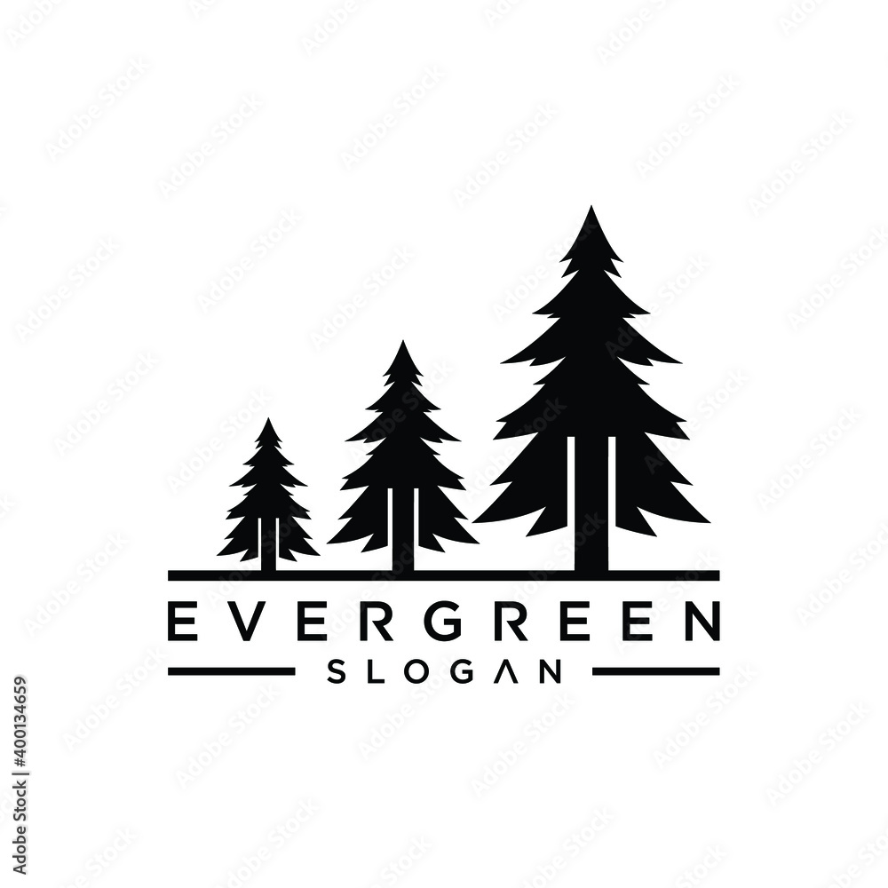 pine evergreen fir hemlock spruce conifer cedar coniferous cypress larch pinus tree forest logo design template
