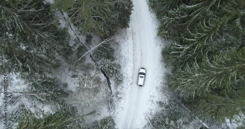  silver car drives along a forest road 