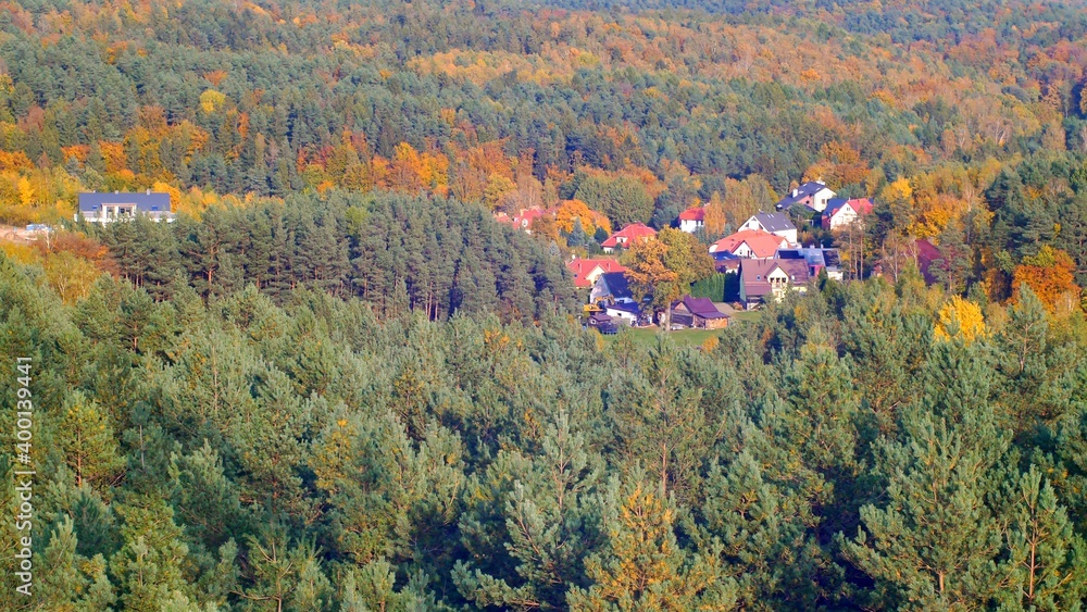 Residential Houses Surrounded by Autumn Woods with Colorful Treetops